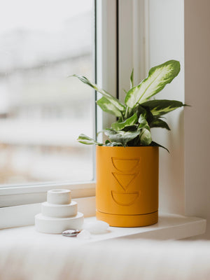 Golden Etch Pot